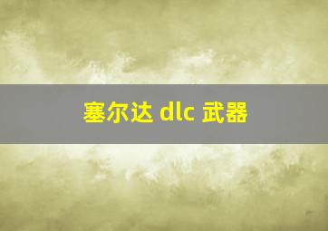 塞尔达 dlc 武器